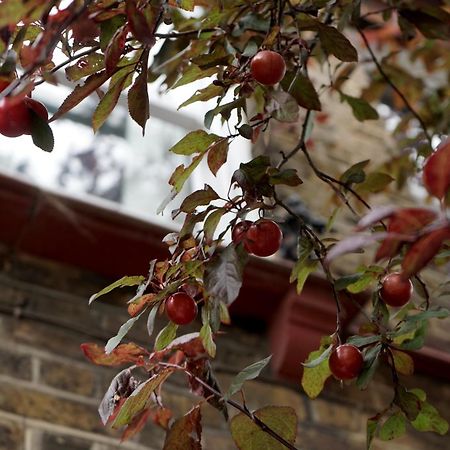 Beautiful London Home Sleeps 6, 2 Minutes To Metro Zewnętrze zdjęcie