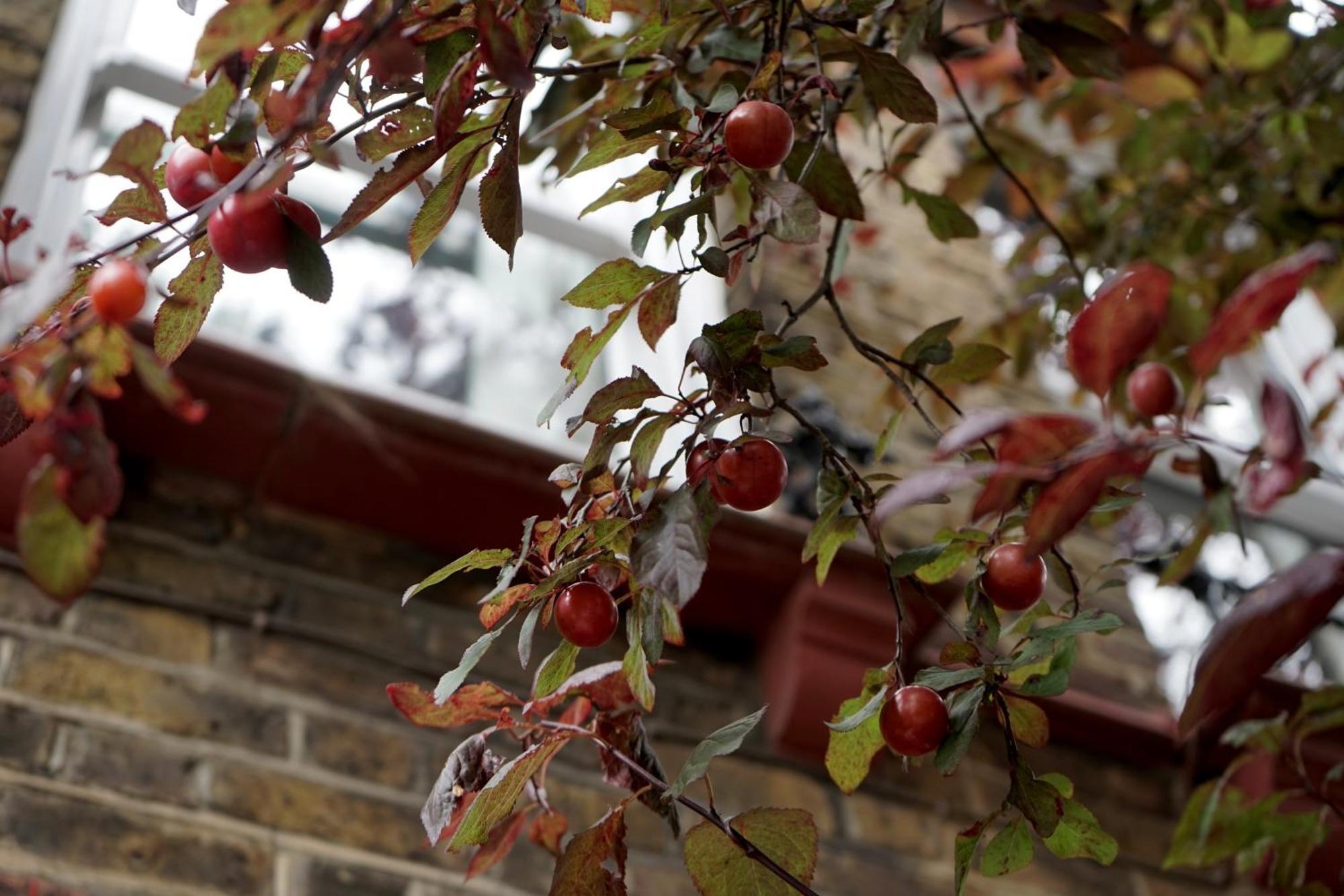 Beautiful London Home Sleeps 6, 2 Minutes To Metro Zewnętrze zdjęcie