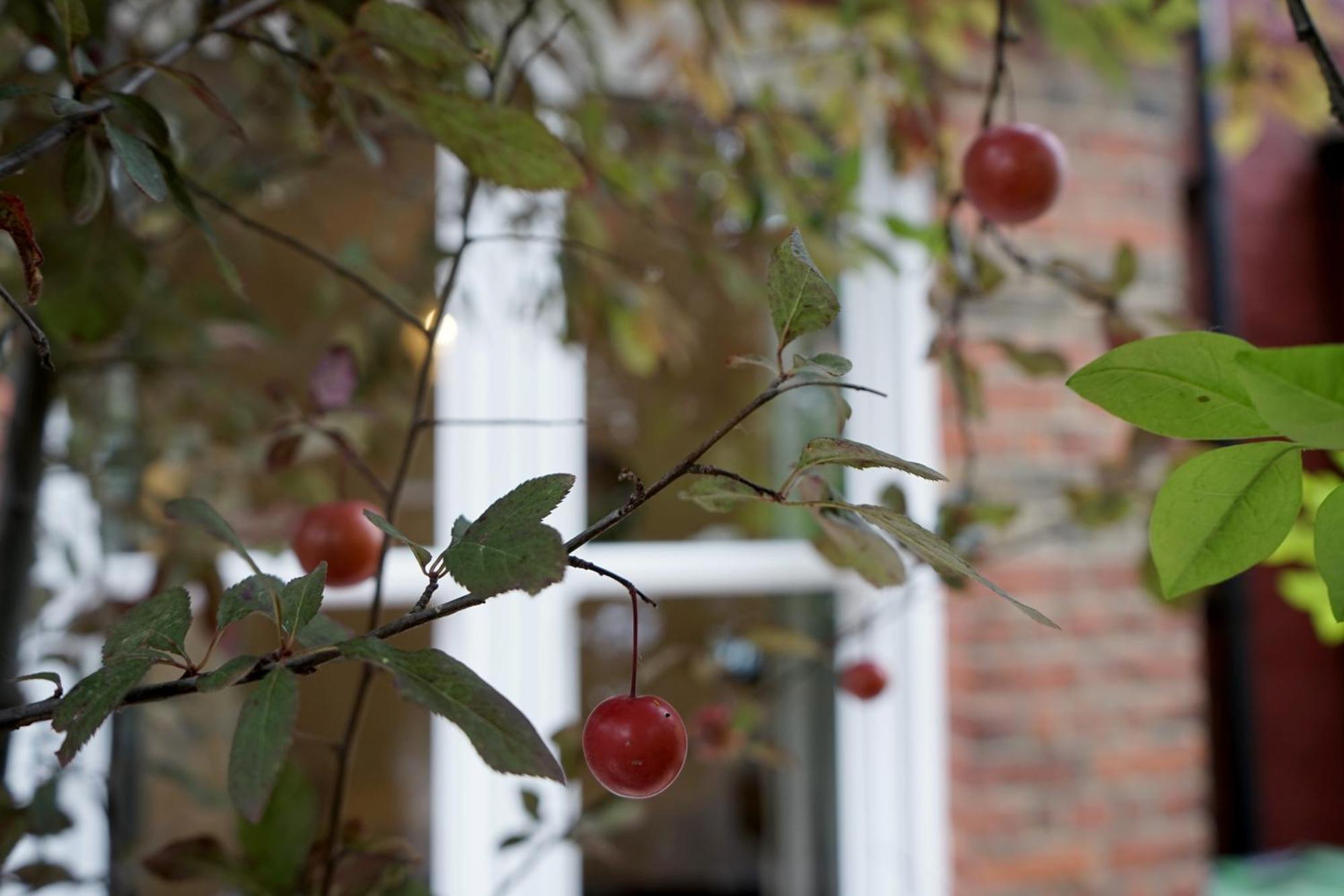 Beautiful London Home Sleeps 6, 2 Minutes To Metro Zewnętrze zdjęcie